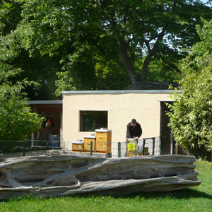 Schulungsbienenstand im Tierpark